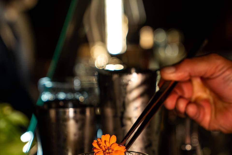 Open Bar - Matrimonio