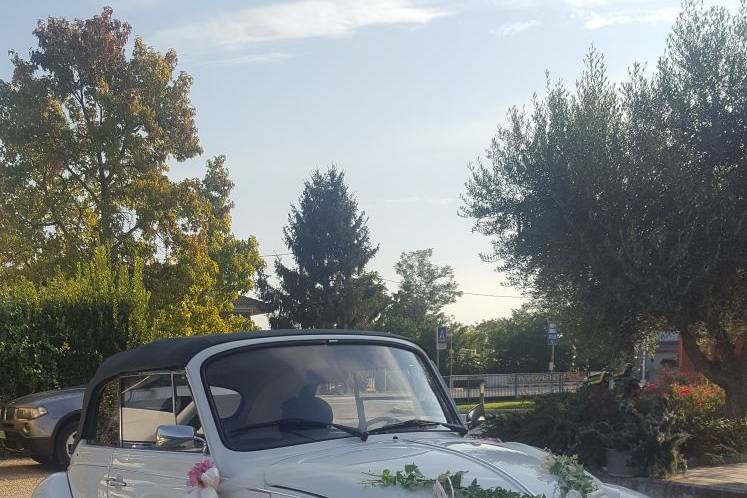 Auto spose