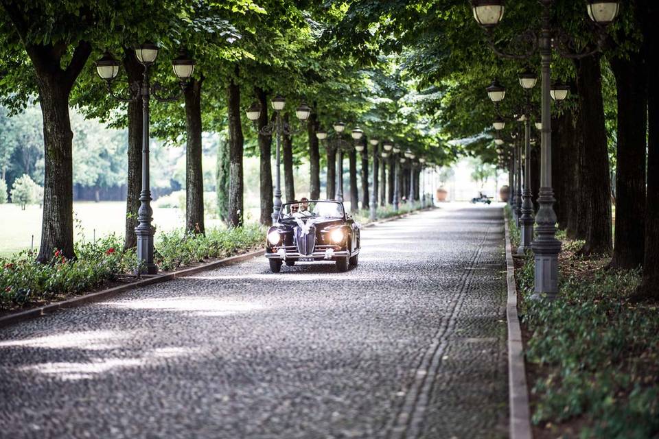 Il viale alberato