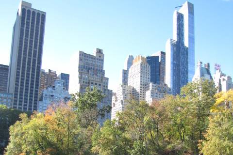 Central Park NY