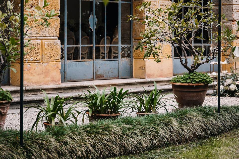 Villa Mezzalira- Lemon trees