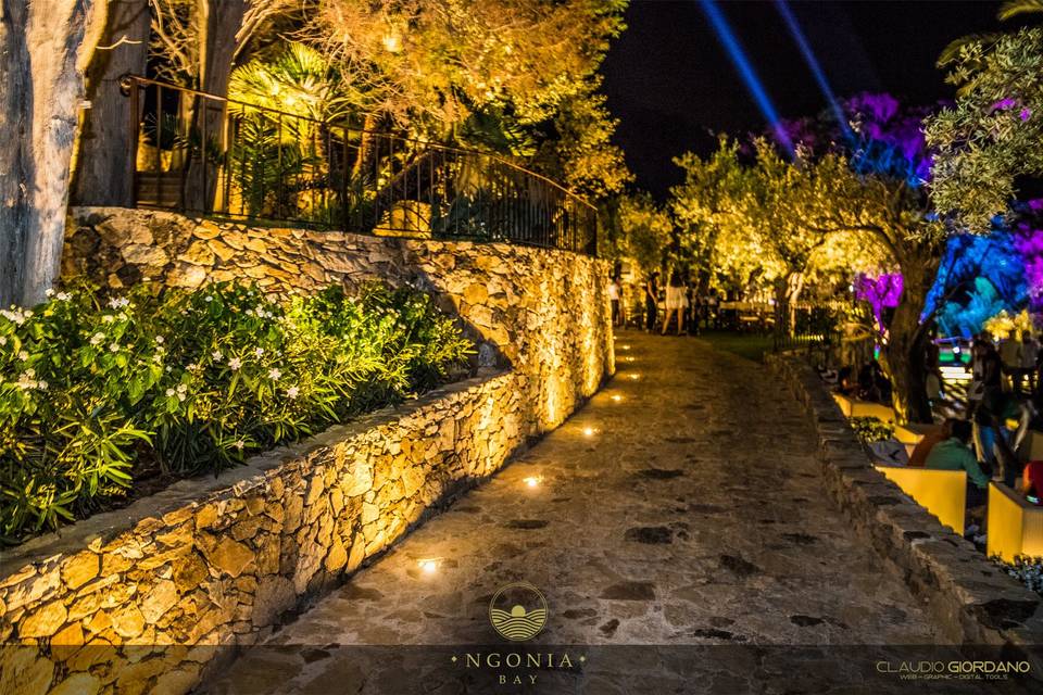 Giardino di notte