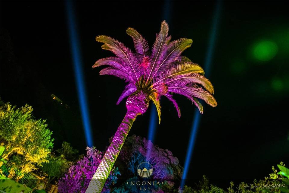 Giardino di notte