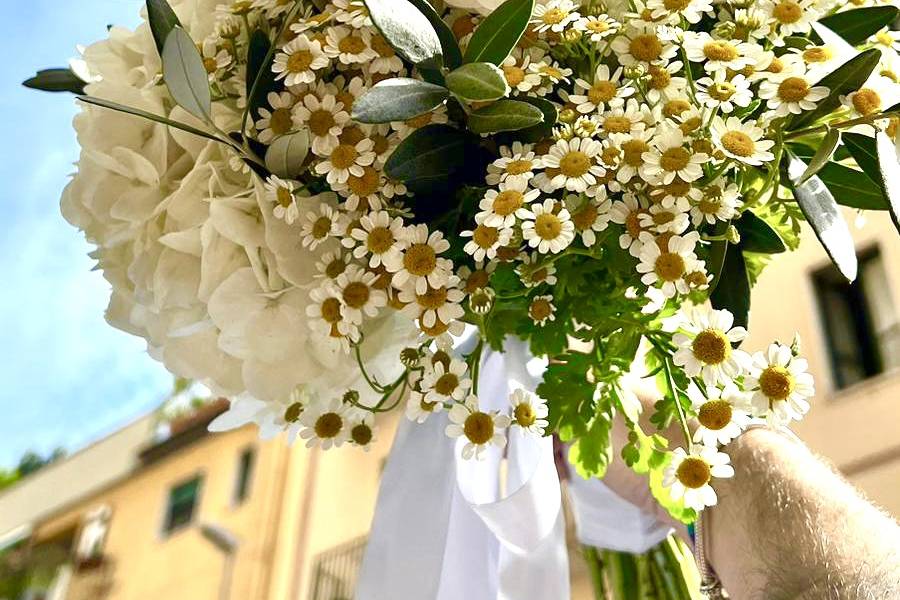 Bouquet camomilla