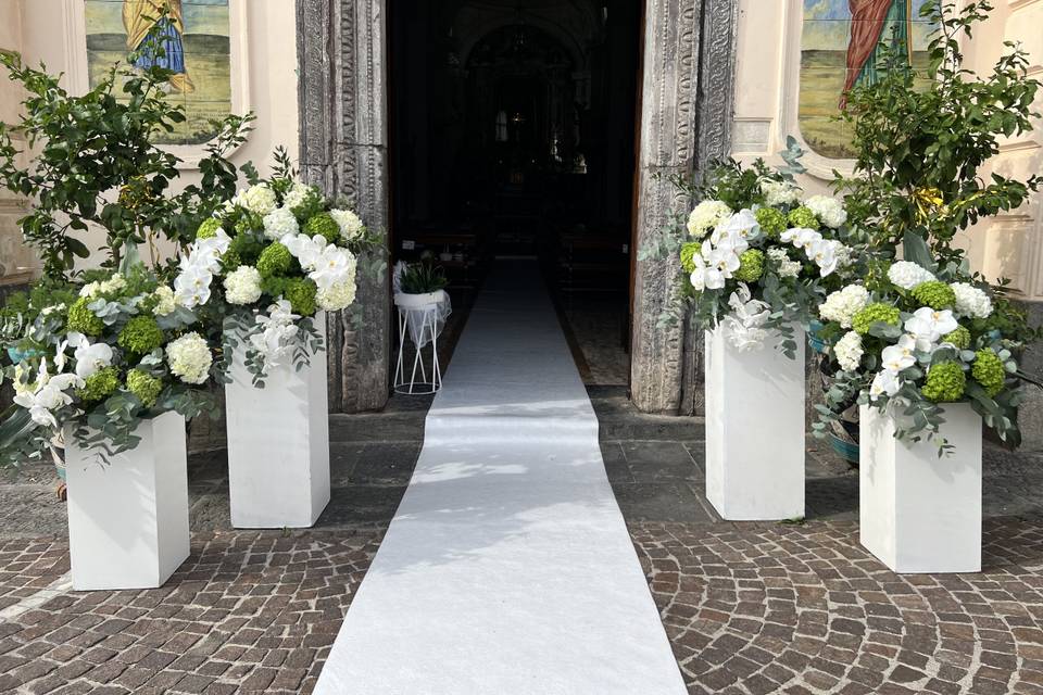 Elegante
