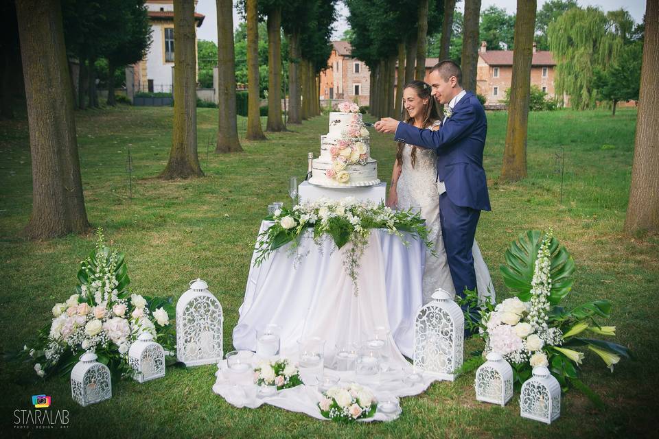 Taglio della torta nel parco