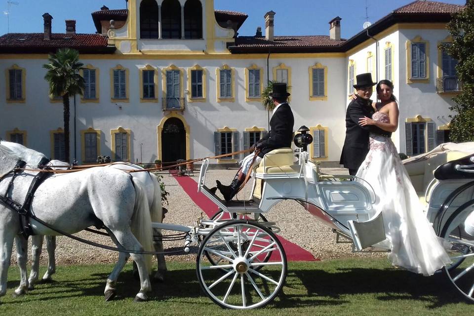 Carrozza bianca