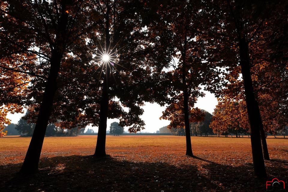 Autunno nel parco