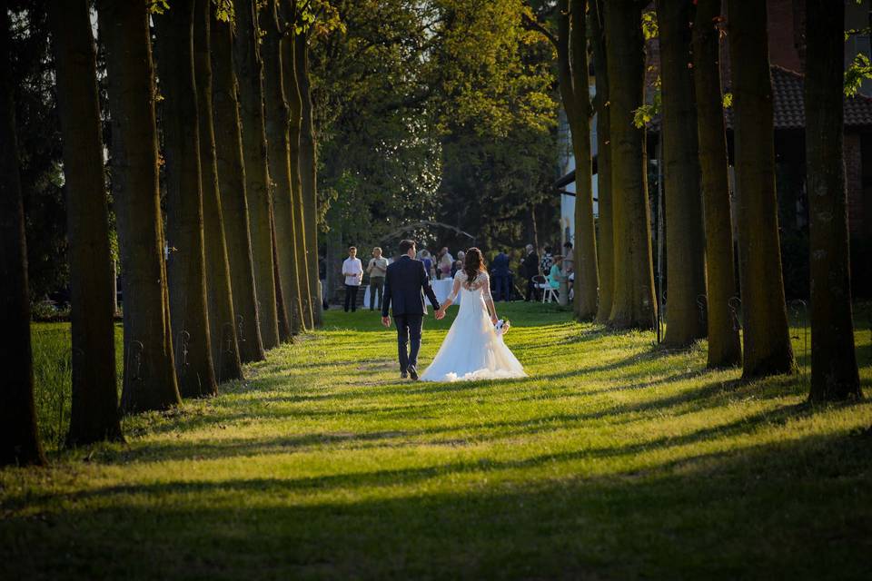 Sposi nel viale delle querce