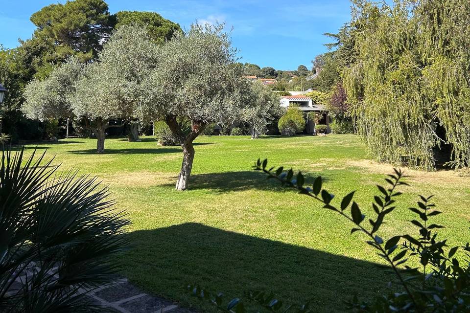 Giardino