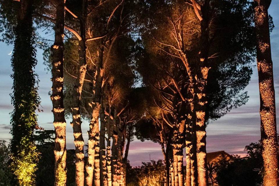 Viale ingresso