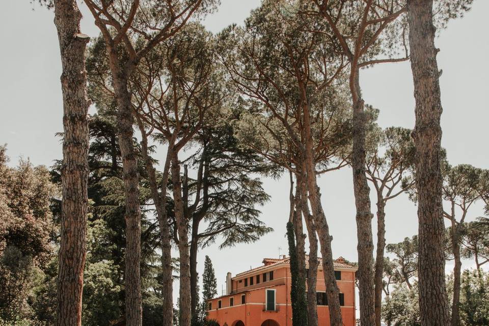 Location Salone