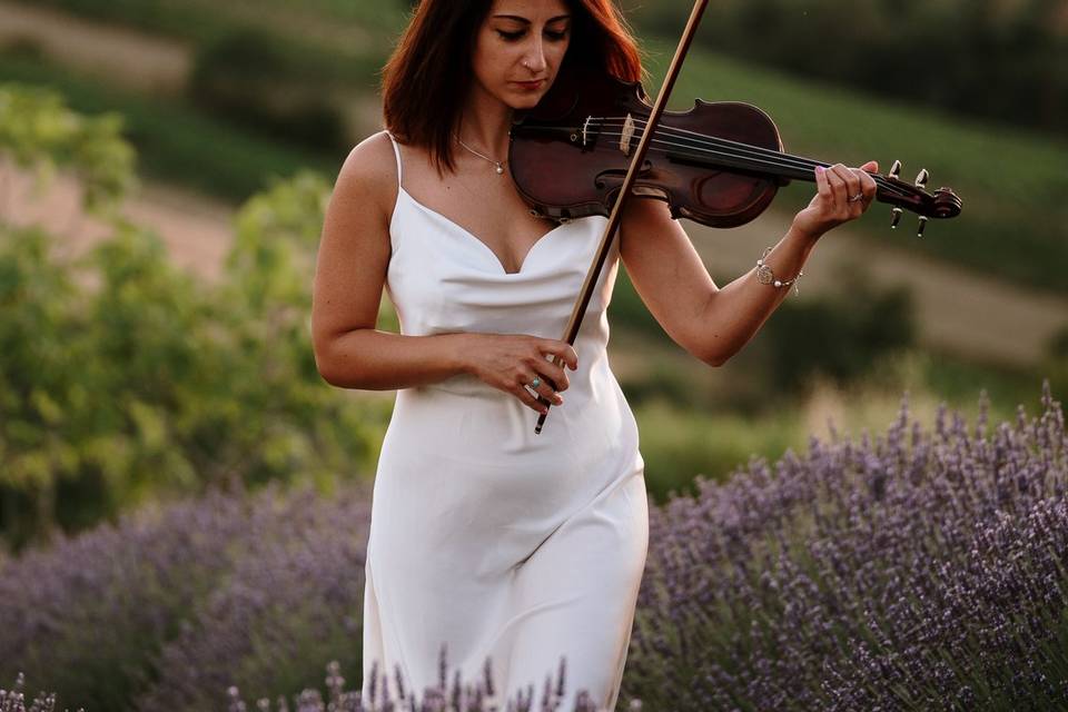 Violin