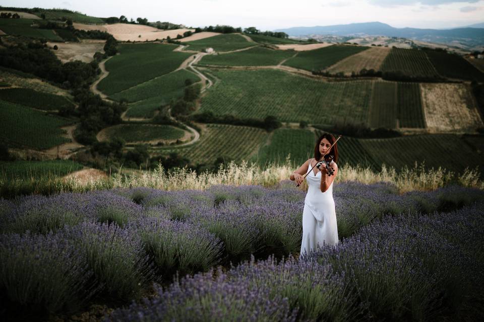 Campo lavanda