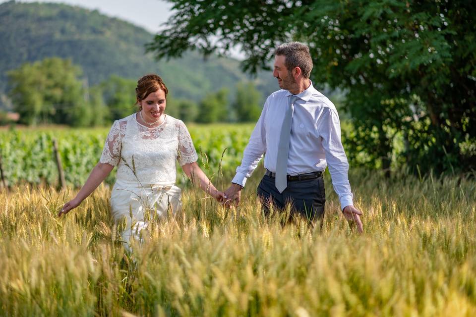 Nei campi della Franciacorta