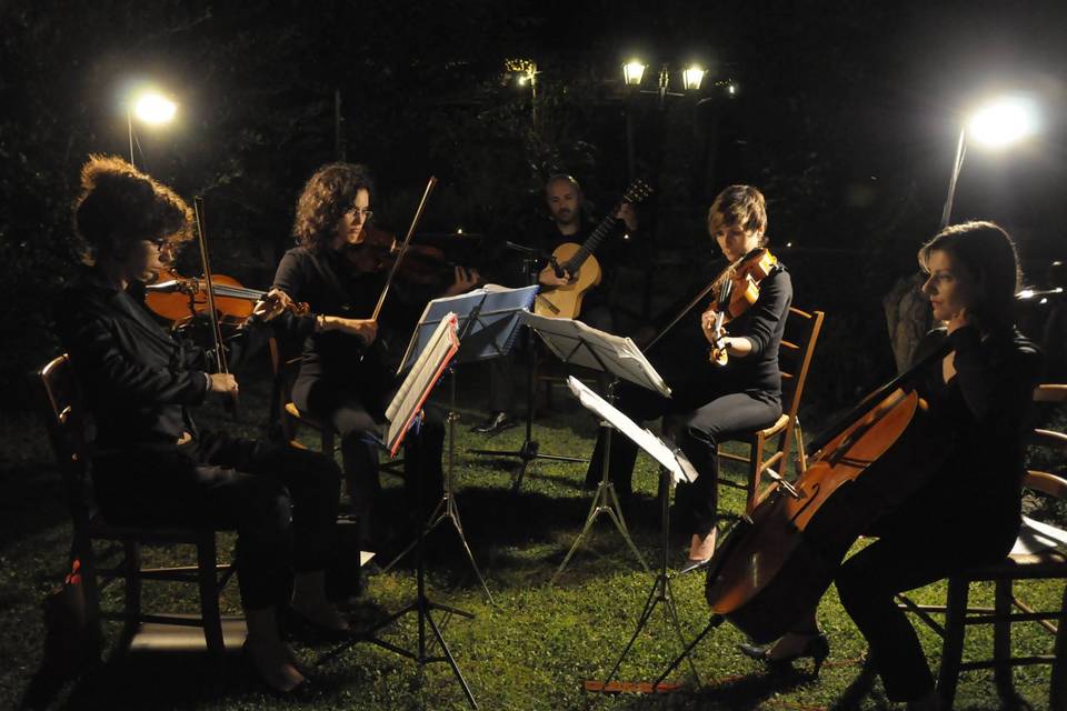 Quartetto archi