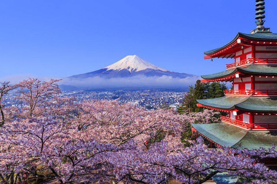 Giappone...Tempio e Monte Fuji