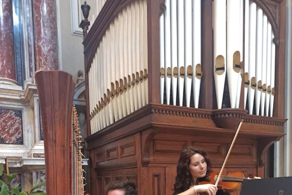 Harp and Violin:Duomo di Mas