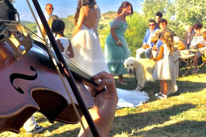 Violino cerimonia
