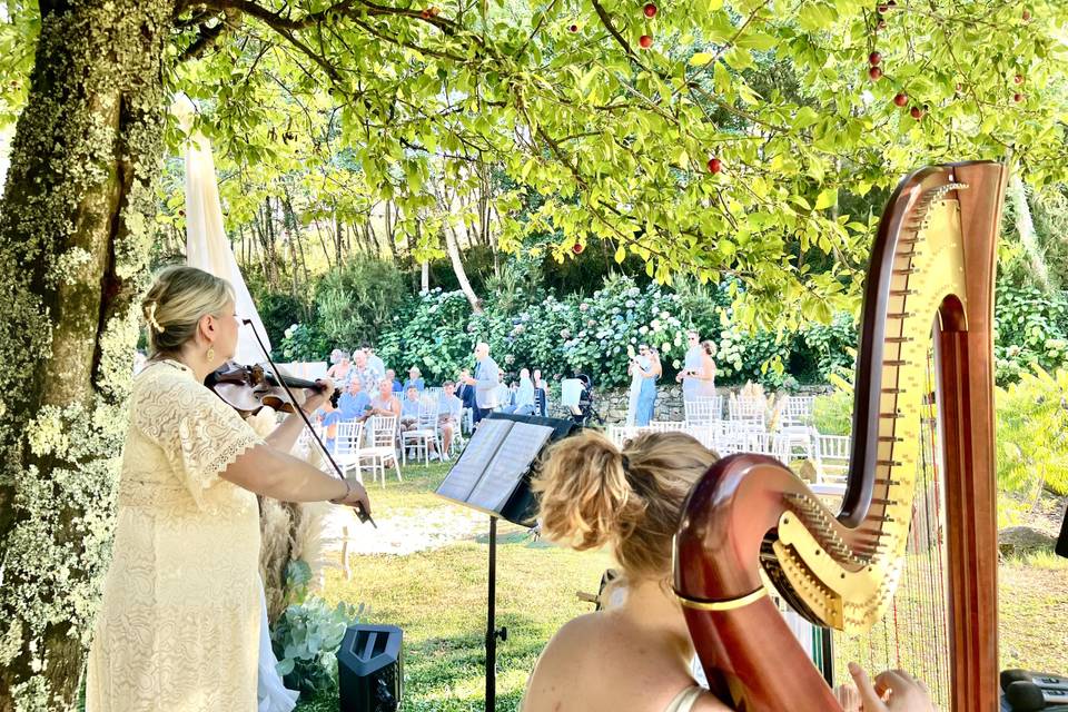 Arpa e Violino , Val di Badia