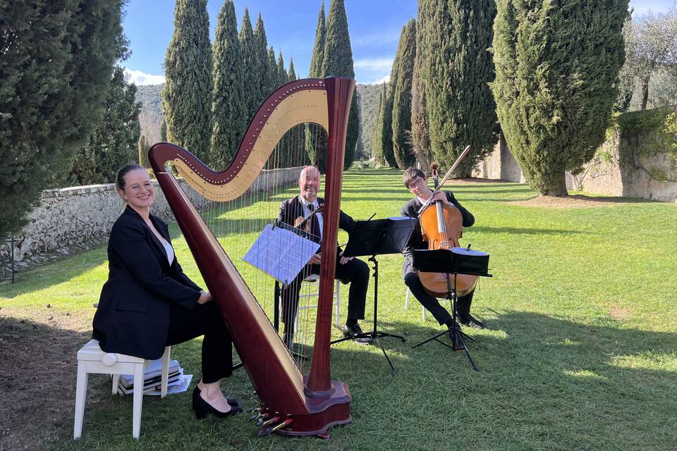 Trio , harp and String in Vill