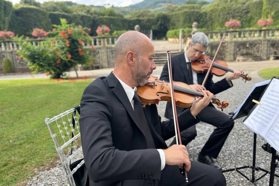 String Duo , Wedding Reception