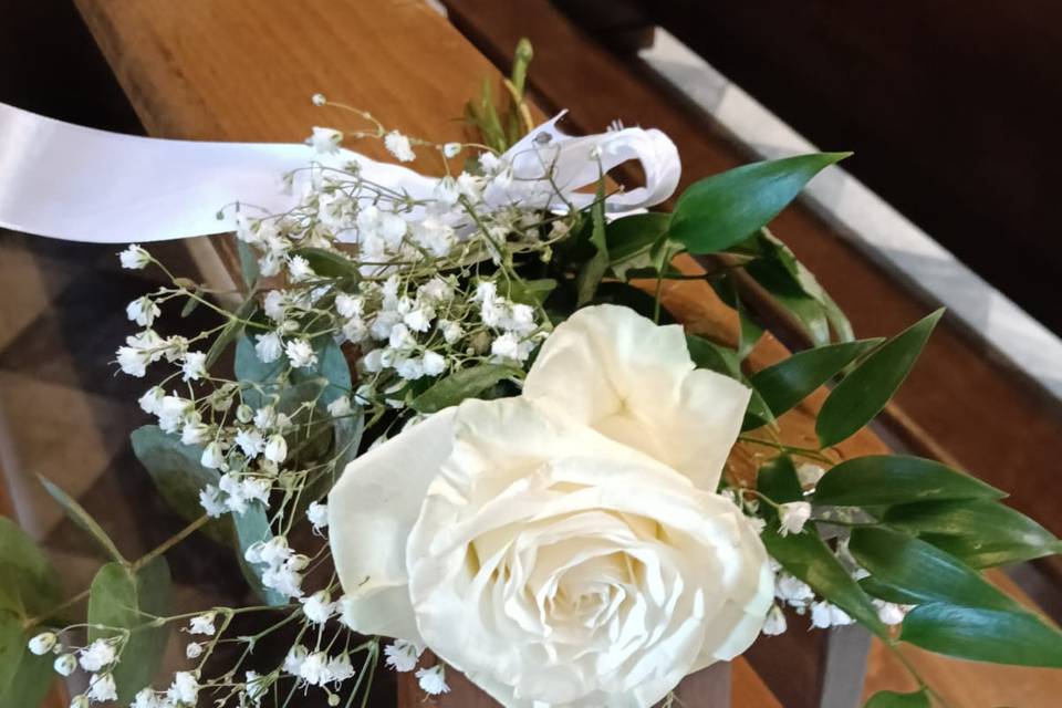 Rosa
