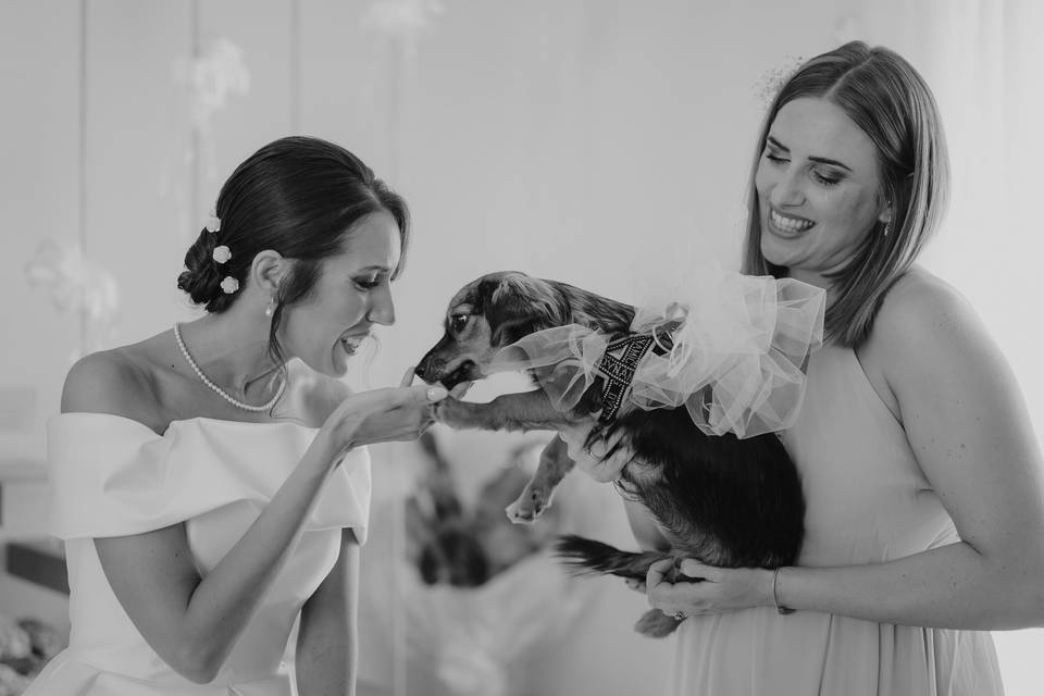 La sposa e il suo cagnolino