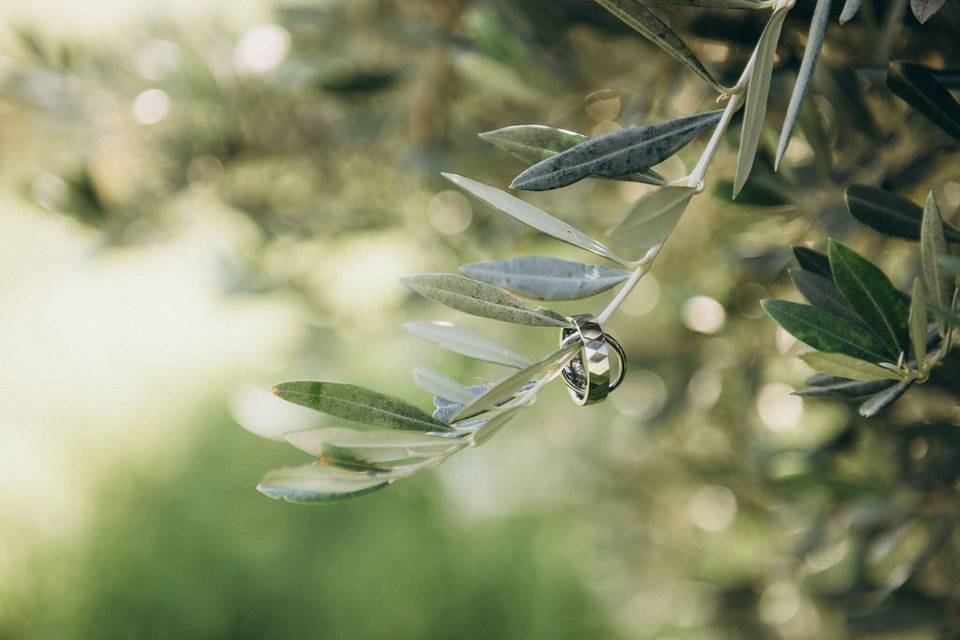 Elopement in Sicily