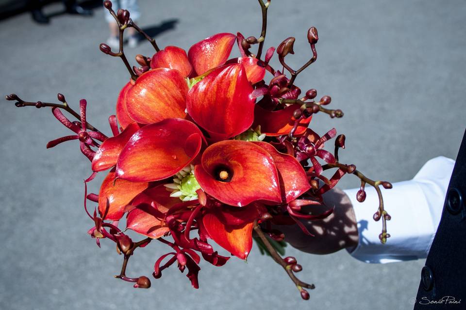 L'angolo dei fiori di rossana