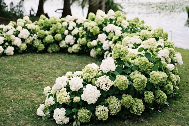 Artvantgarde - Floral Design & Draping