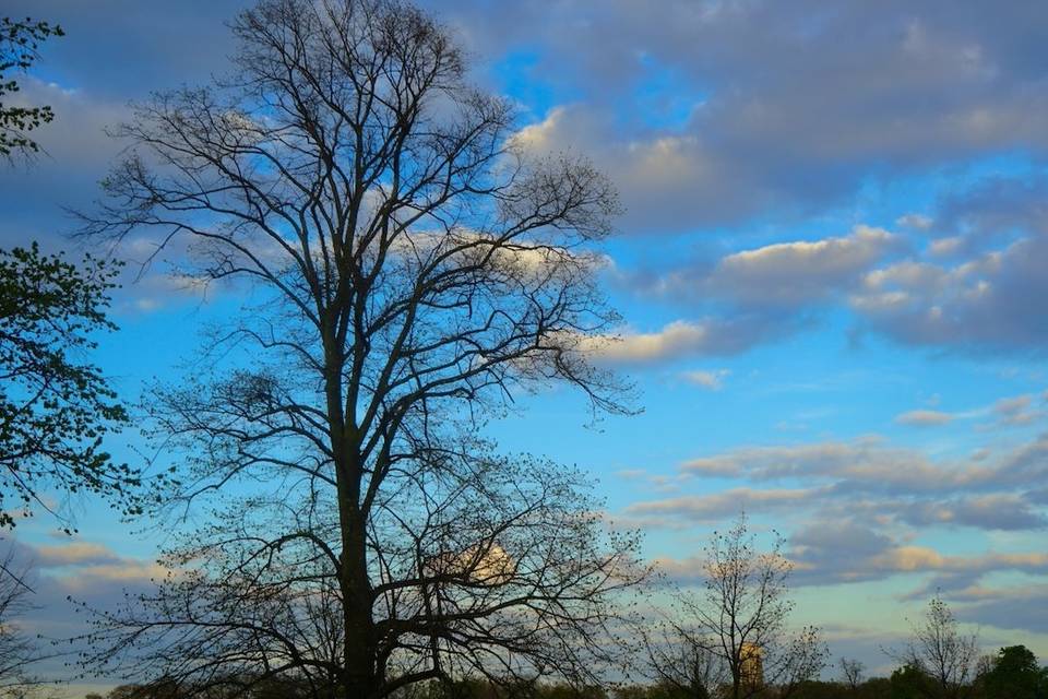 Natura sfondo migliore