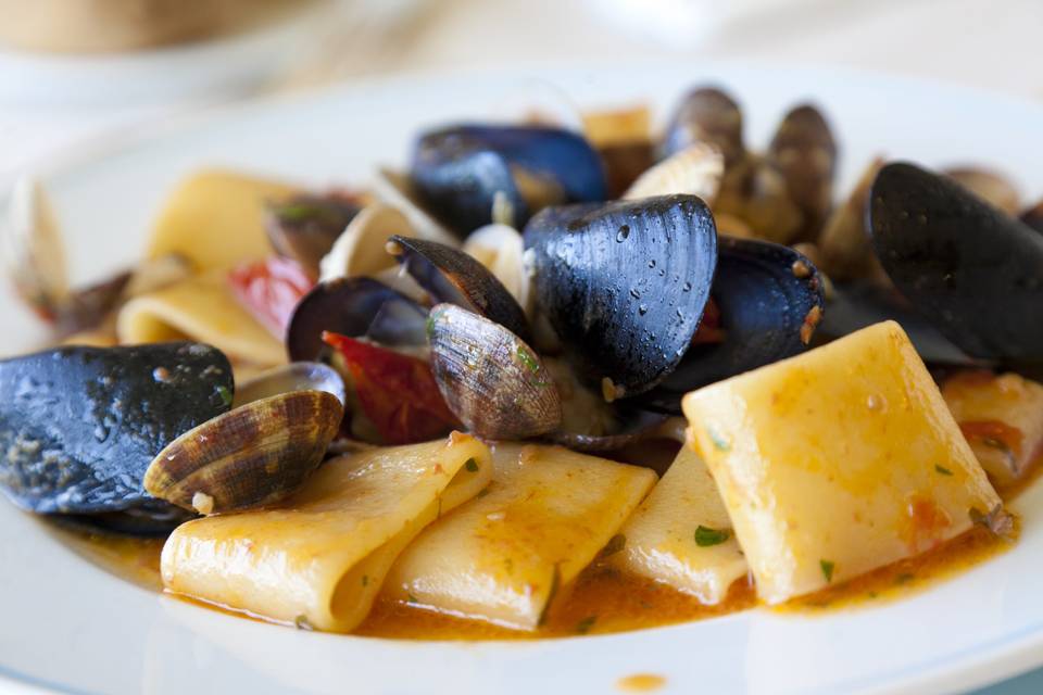 Paccheri ai frutti di mare