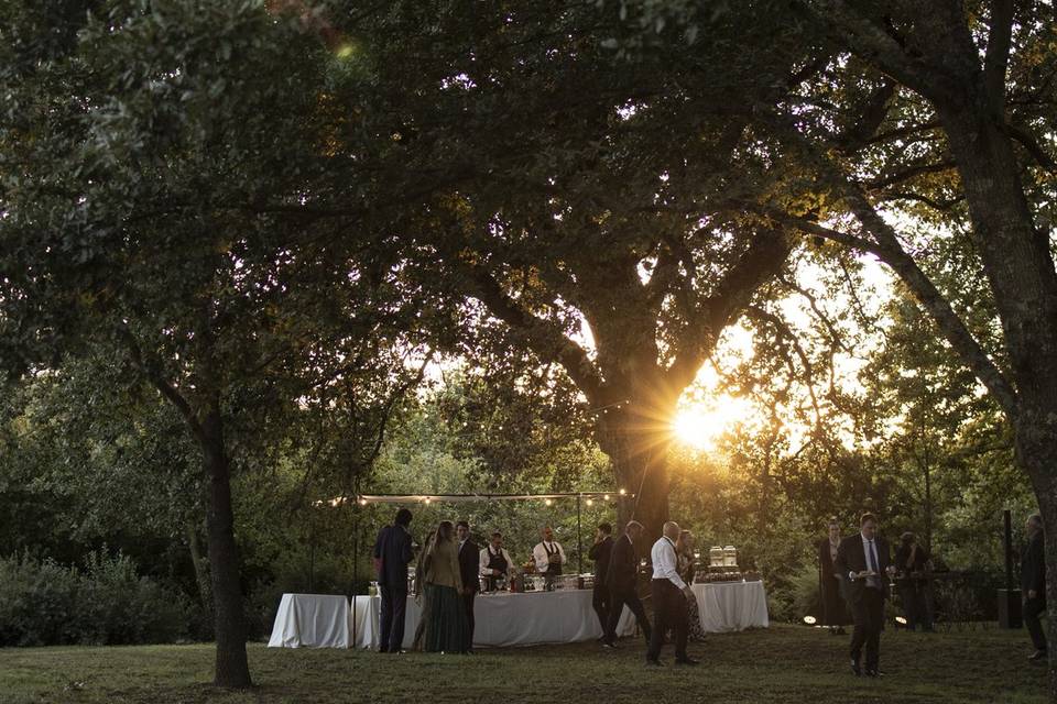 Matrimonio
