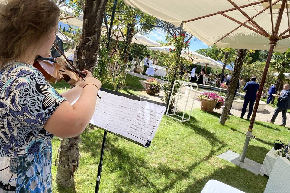 Aperitivo con violinista