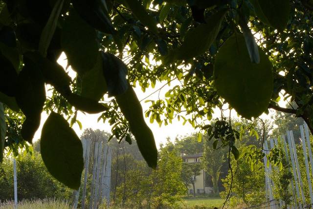 La Florida Agriturismo e Fattoria Didattica