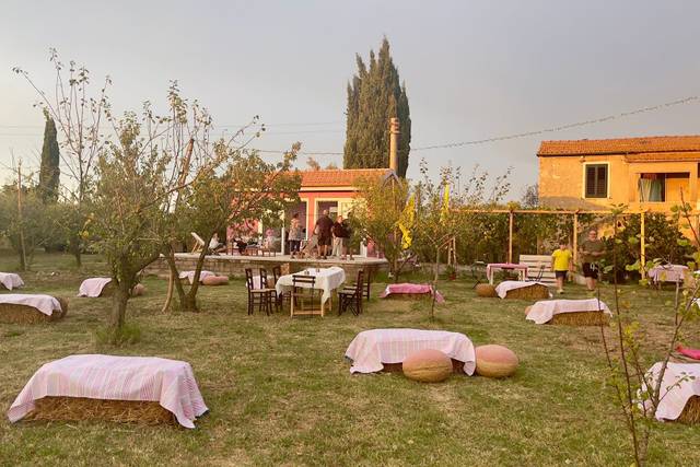 Pic nic event