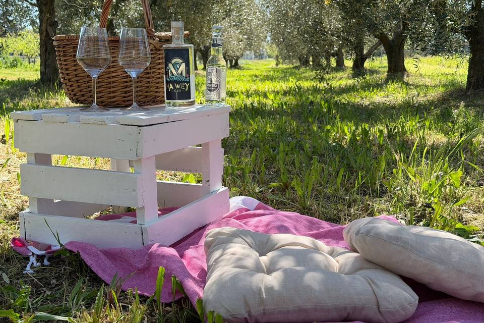 Pic nic