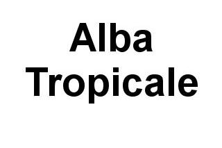 Alba tropicale logo