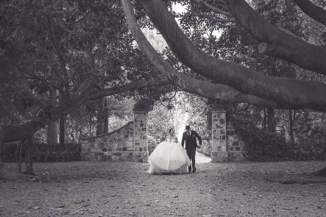 Studio Foto Immagine