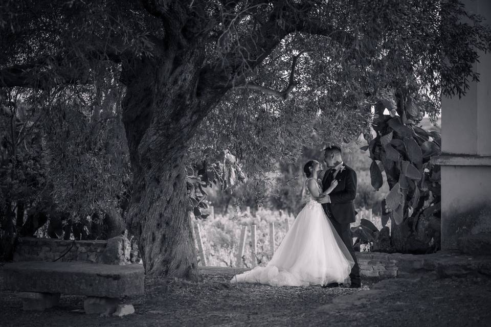Wedding Shooting