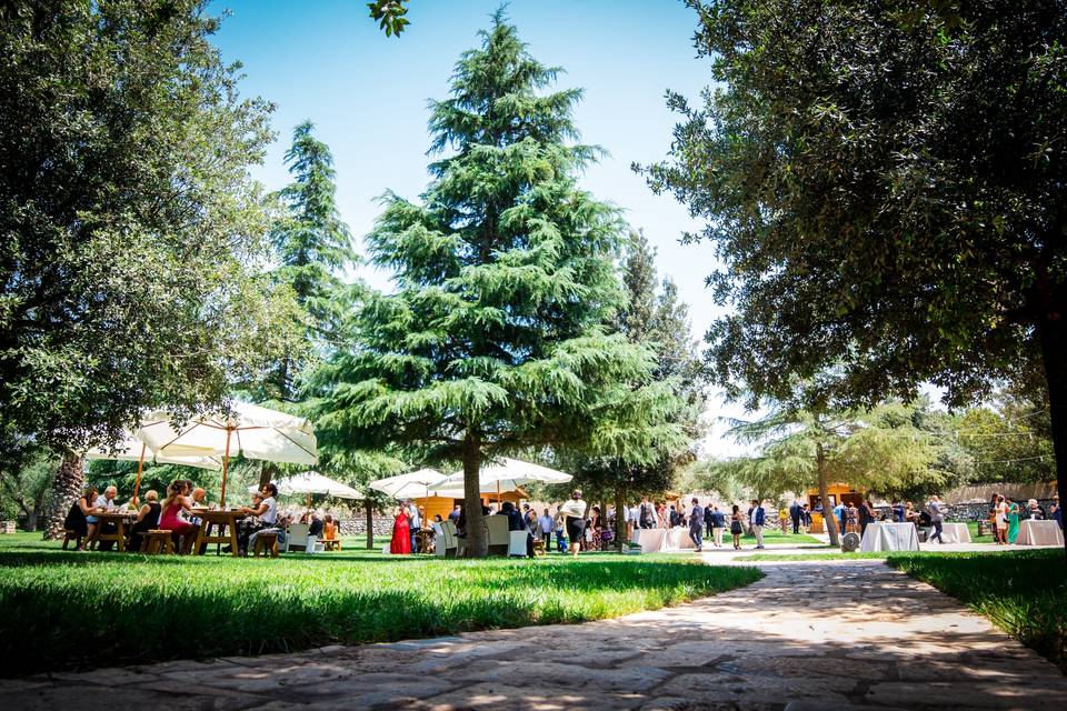 Masseria La Grande Quercia