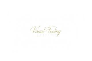 Visual Feeling Logo
