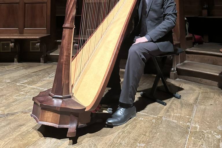 Francesco Cassone Arpista