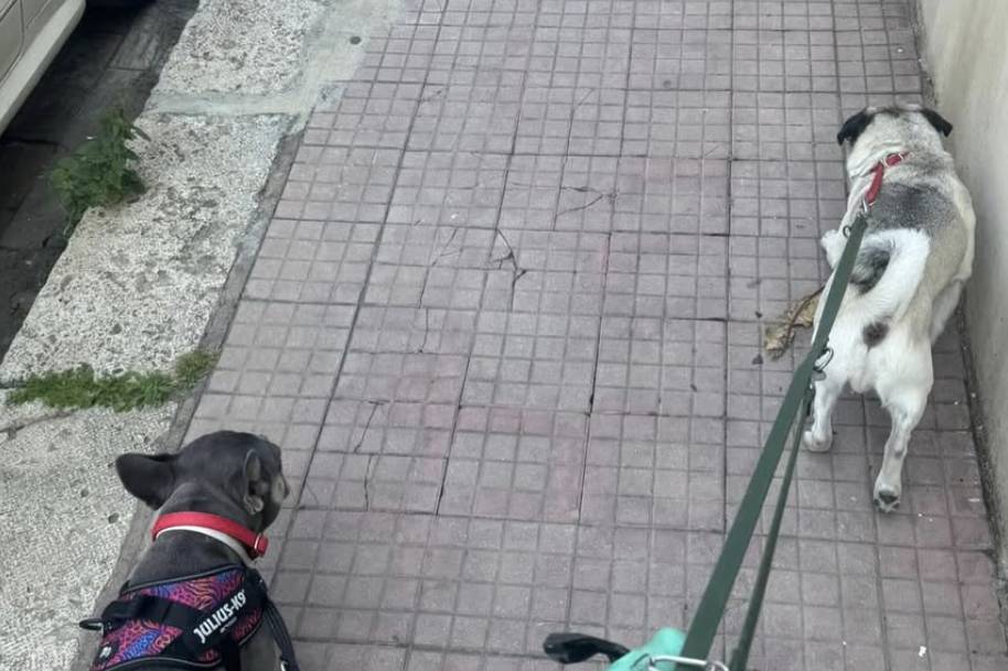 I nostri ospiti