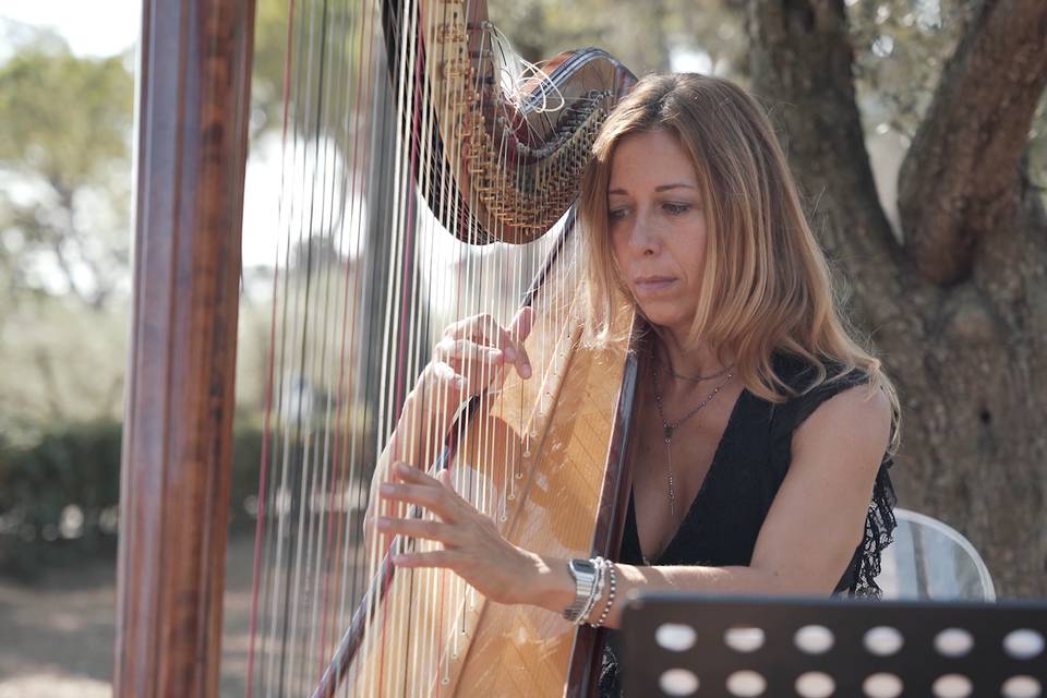 Musica Trio per Cerimonie