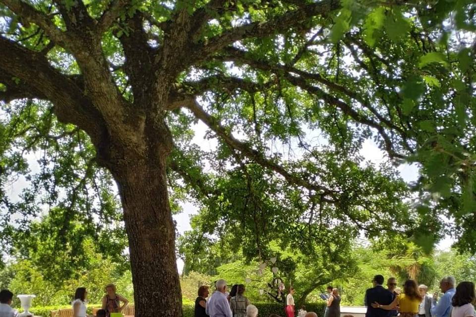 I Giardini di San Massimo