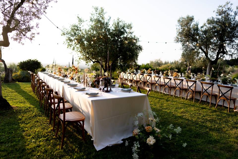 Reception in the olive groves