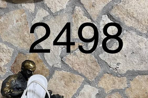2498 SWAROVSKI