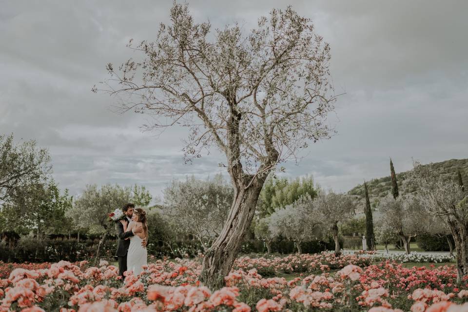 Fotografo matrimonio